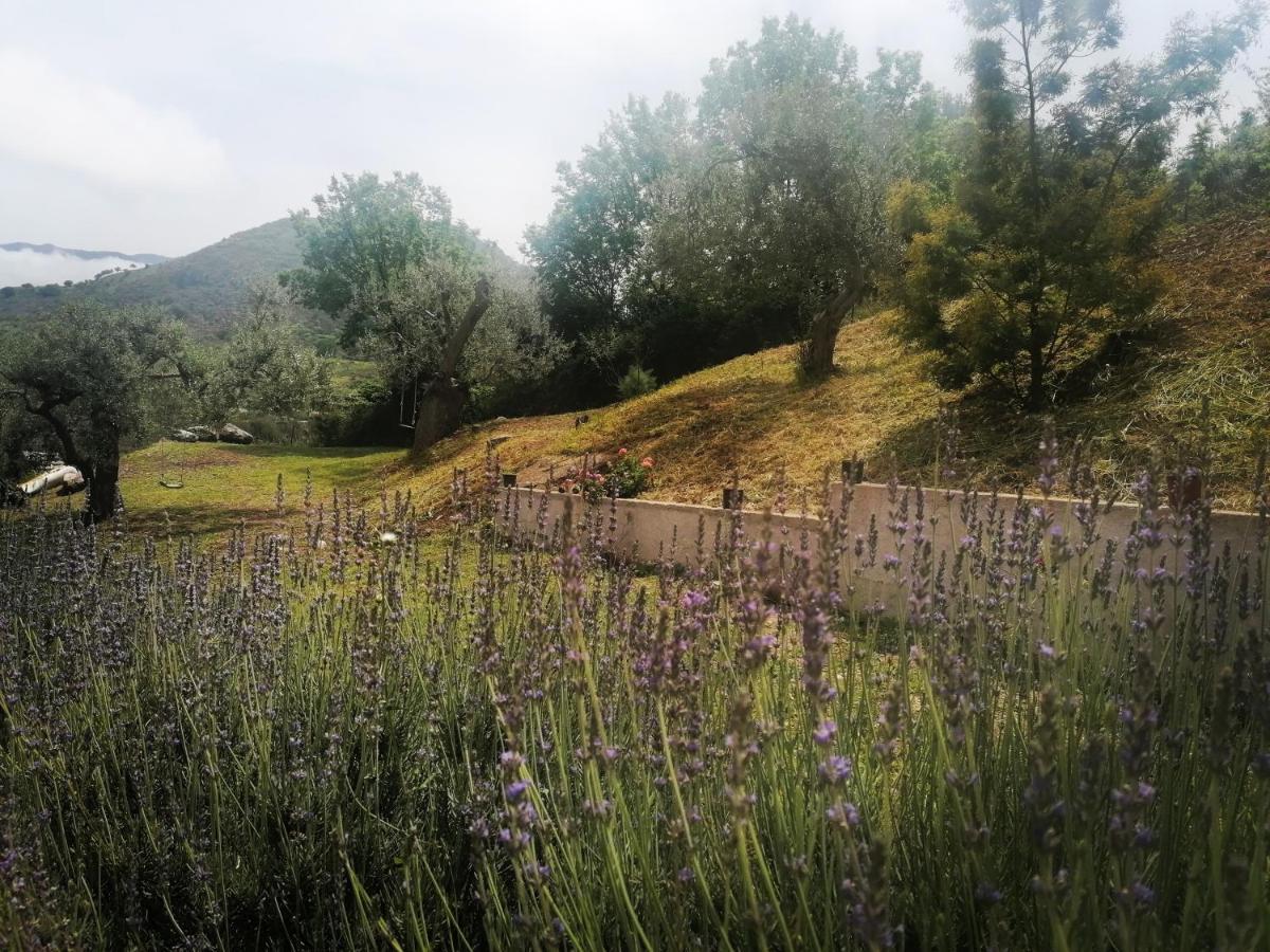 L'Opuntia sul lago Caccamo Exterior foto